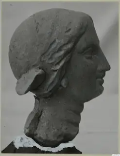Terracotta head in right profile, with waved hair drawn back from the brow and a large ear