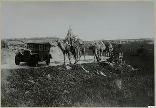 Dark car beside a line of camels on a dirt road, with a rider on the lead camel.