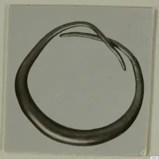 Earring: a thick ring with a thin strand crossing its upper part