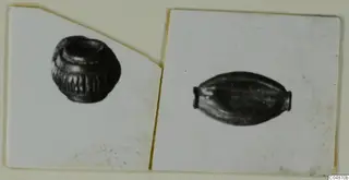 Two mounted photographs of small ridged beads, one squat and rounded, one elongated and barrel-shaped