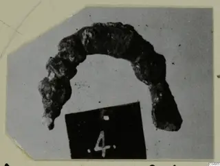 Corroded bronze object bent into an arc, from Amathus, shown beside a number label