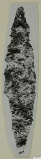 Corroded iron arrowhead from Amathus tomb 2-26, shown alone on a pale card mount