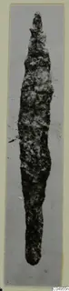 Corroded iron arrowhead from Amathus, long and narrow with a pointed tip, shown upright.