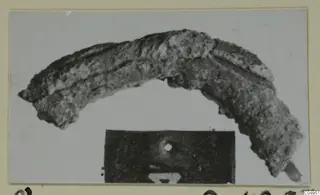 Curved, corroded metal object from Amathus, bent into an arc, shown on a mounted photograph.