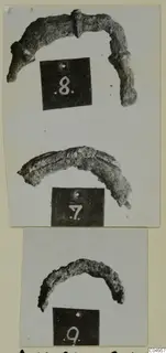 Three photographs of corroded, curved bronze pieces, each beside a black number label, mounted on a card