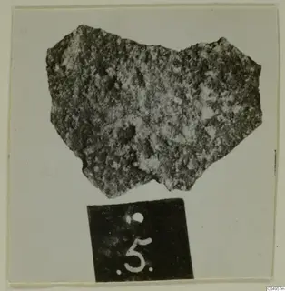 Pottery sherd from Amathus, shown with a number label