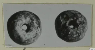 Two round objects with central holes, shown side by side on a photo mount