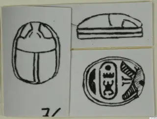 Pen drawings of a scarab seal in three views: back, side and flat base with signs