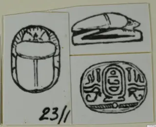 Drawings of three scarab seals, shown from above, from the side and from the base