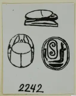 Drawing of a scarab seal shown from its side and base, with an oval seal face beside it.