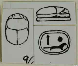 Ink drawings of two scarabs and an oval seal design, mounted together on a white card