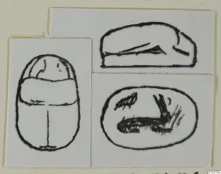 Ink drawings of a scarab seal from Ayia Irini, showing its back, side profile and flat base