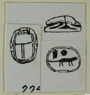 Ink drawings of a scarab seal shown in three views: back, side profile and base, pasted on a pale card.