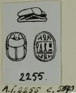 Drawing of a scarab seal in three views: side profile, back and inscribed base.
