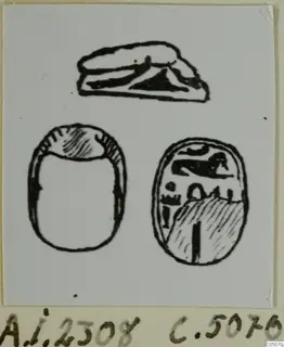 Drawing of a scarab seal in three views: flat side at top, plain back and carved face below.