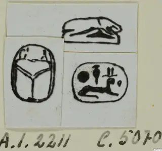 Ink drawings of a scarab and two seal designs, mounted on white cards