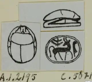 Drawings of a scarab beetle and an oval seal with a horned animal and plant motif