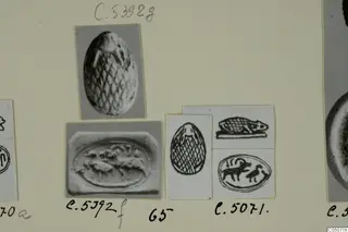 Photographs and drawings of seals and gems mounted on a card