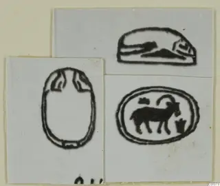 Three black-line drawings of seals on white card: an oval scarab-type seal at left, an oval with a horned animal, and a domed seal.