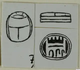 Drawings of three seals on white cards: a scarab-shaped seal, a flat seal seen from the side, and an oval seal face.