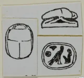 Line drawings of a scarab and two other seals with carved designs, each pasted on white paper