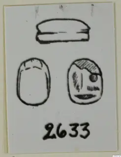 Drawing of a scarab seal in three views: side profile, plain back and decorated base