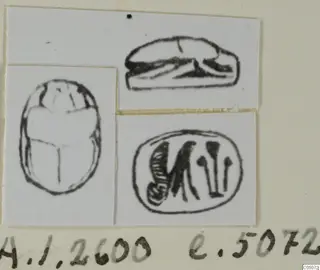 Drawings of a scarab seal from three views: its back, its side profile and its flat base with incised signs.