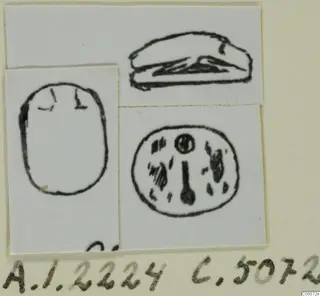 Drawing of a scarab seal in three views, pasted on white card
