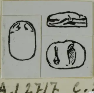 Ink drawings of a scarab seal from Ayia Irini, showing its oval base and side views.