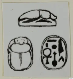 Line drawing of a scarab in three views: side view, back, and the oval base with carved signs
