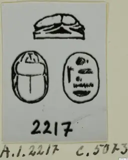 Drawing of a scarab seal in three views: side profile, beetle back, and base with incised marks