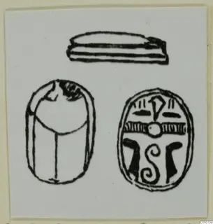Drawing of a scarab seal in three views: flat base, domed back, and incised base design