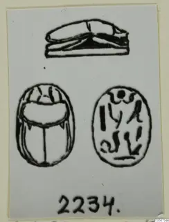 Drawing of a scarab seal in three views, with linear marks on its flat base