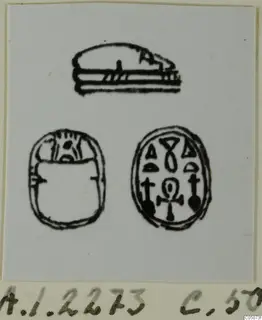 Drawing of a scarab seal in three views: side profile, back and engraved base with signs.