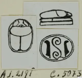 Black-line drawings of a scarab seal in three views: the back, a side profile, and the flat base with a spiral design