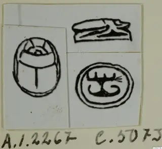 Ink drawings of a scarab and two seal designs, one with a low form in profile