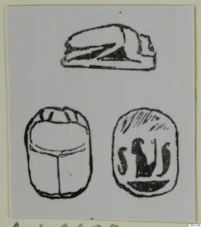Drawing of a scarab seal from Ayia Irini, shown in three views