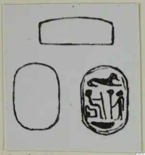 Drawing of a scarab seal in several views, with an engraved design on its oval base.