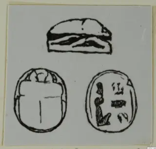 Drawing of a scarab seal in three views: side profile, back and inscribed base