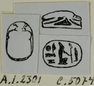 Ink drawings of a scarab seal in three views: side profile, back outline and engraved base