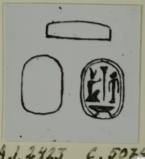 Ink drawing of three glyptic outlines, one a scarab-shaped oval with an engraved design of figures and signs