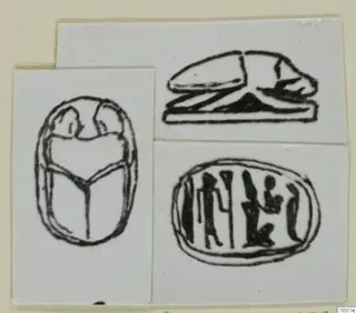 Drawings of a scarab seen from above and from the side, and an oval seal face with engraved figures