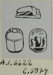 Drawings of a scarab and a seal base with a crouching animal, from Ayia Irini
