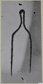Bronze tweezers from the Kastros tombs at Lapithos, shown as a dark outline against a grey background