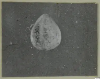 Alabaster vase from Lapithos, Kastros tombs, shown against a dark background