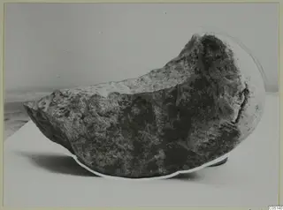 Fragment of a stone bowl from Petra tou Limniti, shown in side view on a pale surface.