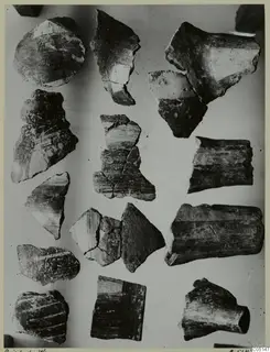 Stone Age Pottery, Painted Ware: several dark pottery sherds laid out on a pale background