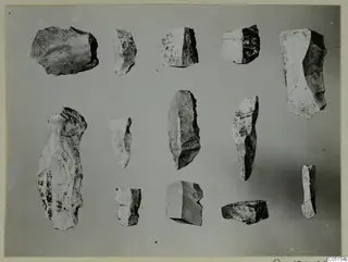 Thirteen flint flakes and blade-like pieces from Petra tou Limniti, laid out in rows on a grey background.