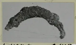 Corroded bronze fibula, its curved bow with a flattened foot, photographed on a mounted card.