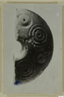 Curved bone fragment decorated with concentric ring patterns and small central dots